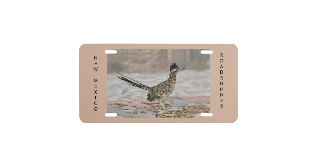 New Mexico State Bird License Plate Zazzle