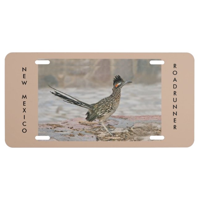 New Mexico State Bird License Plate (Front)
