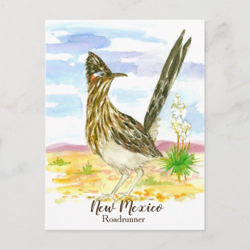 New Mexico State Bird Roadrunner Yucca Postcard