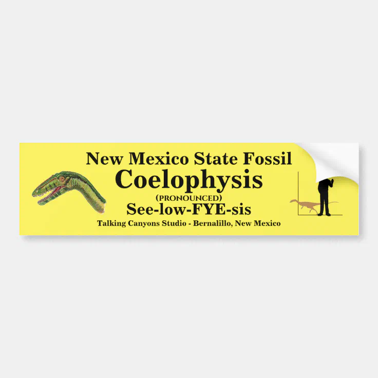 new-mexico-state-fossil-bumper-sticker-zazzle