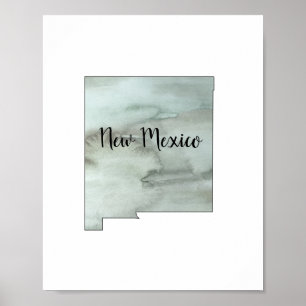 New Mexico State Illustration  Poster