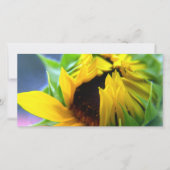 New Mexico Sunflower (Front)