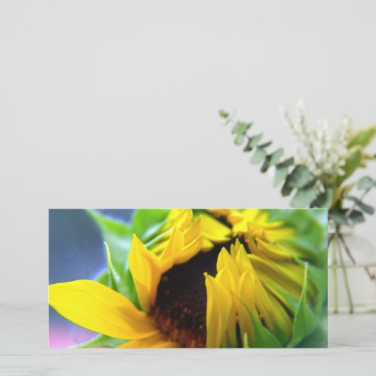 New Mexico Sunflower (Standing Front)