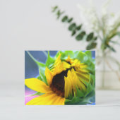 New Mexico Sunflower (Standing Front)