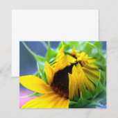 New Mexico Sunflower (Front/Back)