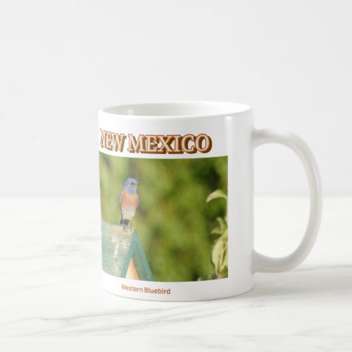 New Mexico western bluebird photograph Coffee Mug