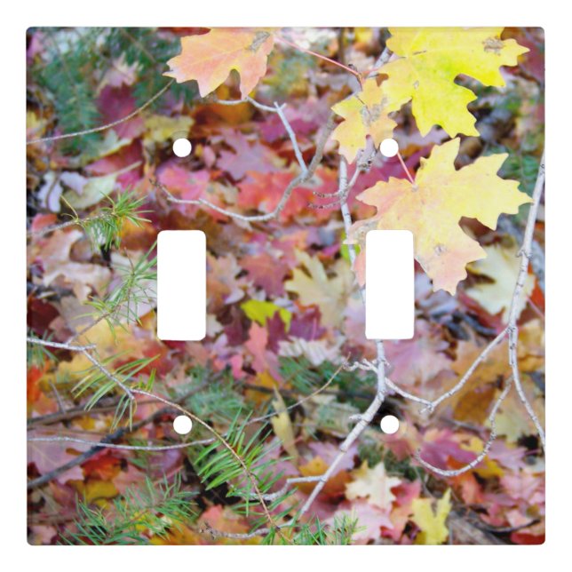 New Mexico Wild Maples Double Light Switch Cover (Front)