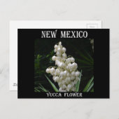 New Mexico Yucca Flower Postcard (Front/Back)