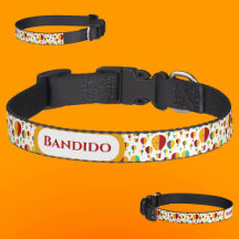 New Mexico Zia Hot Air Balloons