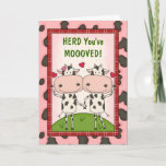 New Move Congratulations - Cows Card at Zazzle