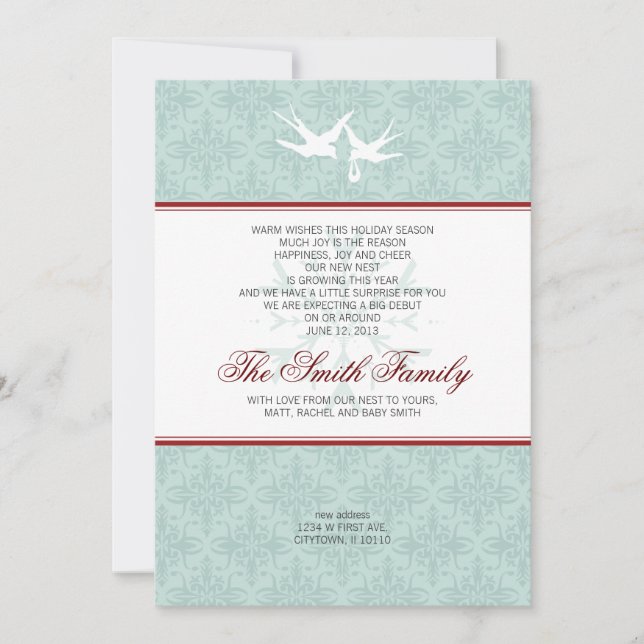 New Nest Address Birth Announcement Holiday Card (Front)