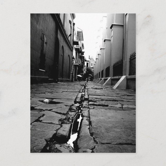 New Orleans Alley Postcard (Front)