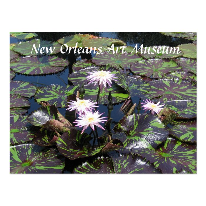 New Orleans Art Museum Postcards