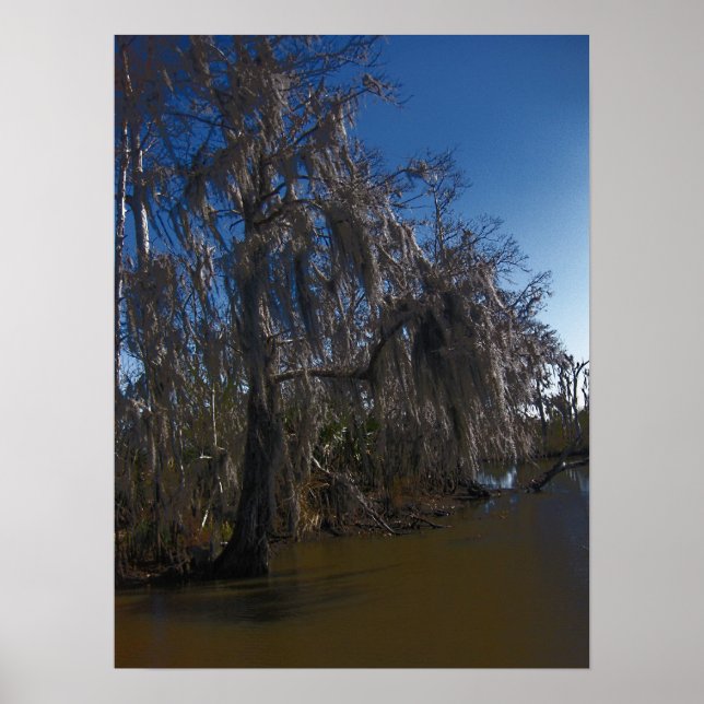 New Orleans Bayou Poster (Front)