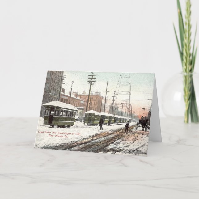 New Orleans Canal St Snow 1895 Card (Front)