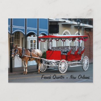 New Orleans Carriage Ride Postcard by Scotts_Barn at Zazzle