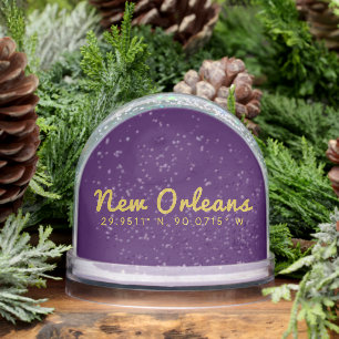 New Orleans Coordinates Snow Globe