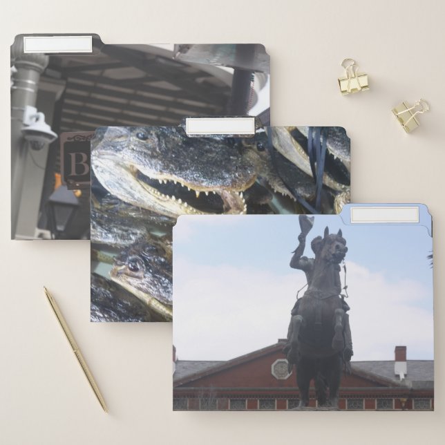 New Orleans File Folders (Set)