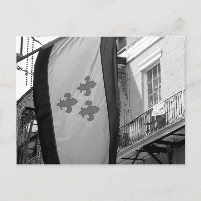 New Orleans Flag Postcard (Front)