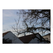 New Orleans Lifestyle (Front Horizontal)