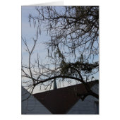 New Orleans Lifestyle (Front)