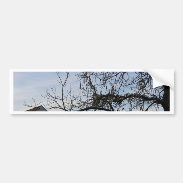 New Orleans Lifestyle Bumper Sticker (Front)