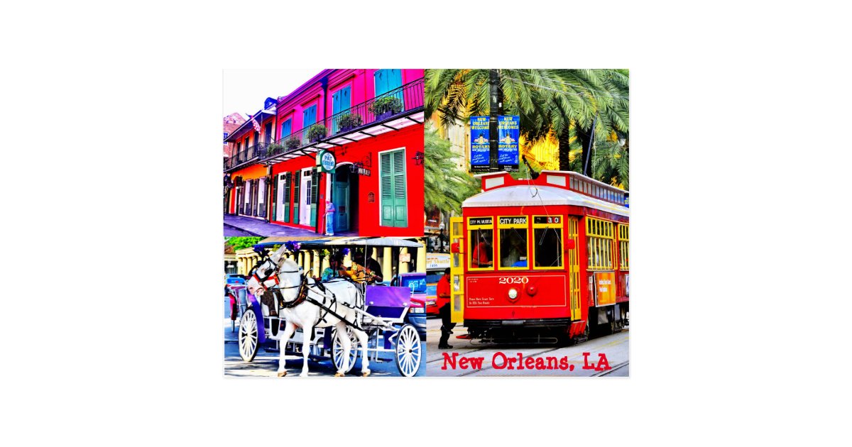 New Orleans, Louisiana Postcard