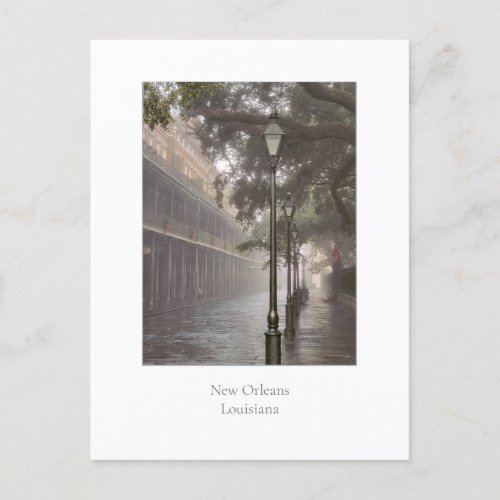 New Orleans Louisiana Postcard