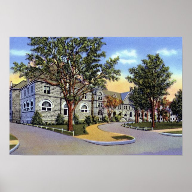 New Orleans Louisiana Tulane University Poster (Front)