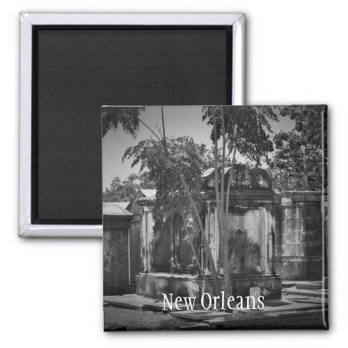 new orleans magnet