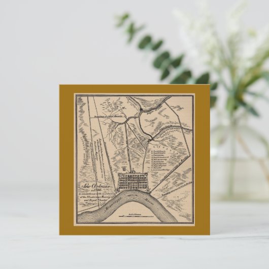 New Orleans Map 1770 (Standing Front)
