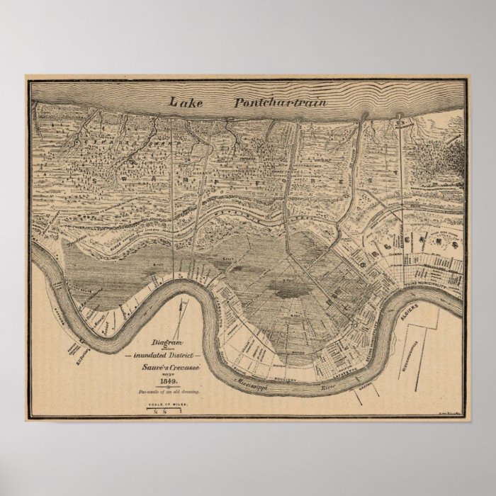 New Orleans MAp 1849 Posters