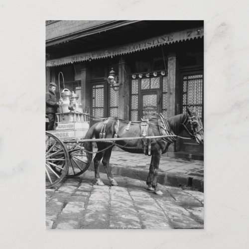New Orleans Milk Cart 1903 Postcard