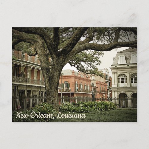 New Orleans Postcard