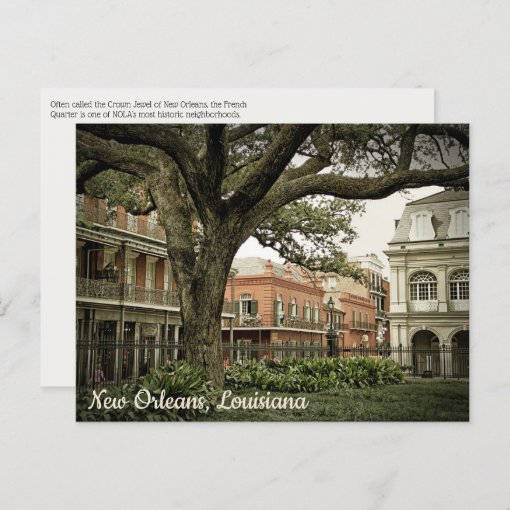 New Orleans Postcard | Zazzle