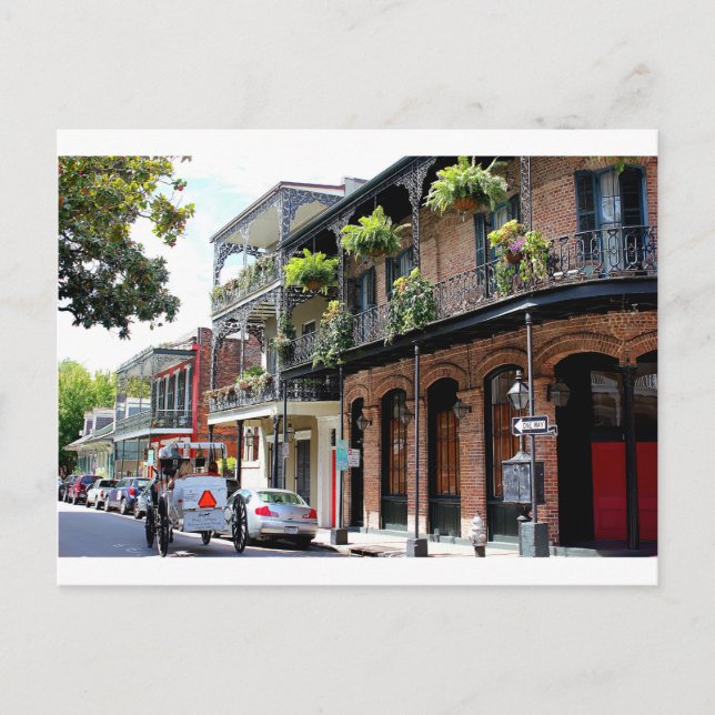 New Orleans Street Scene Postcard (Front)
