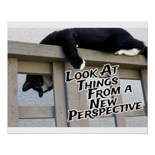 New Perspective Motivating Cat Photo Art Poster