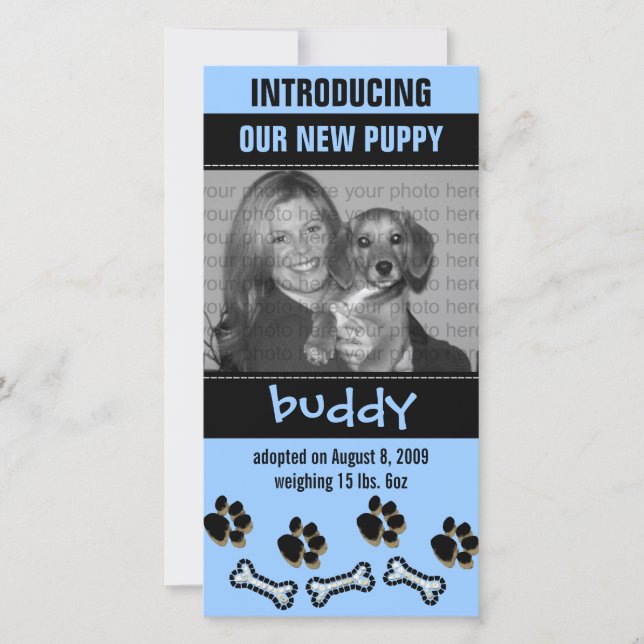 New Pet Adoption Announcement (Front)