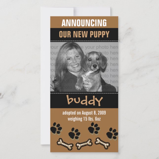 New Pet Adoption Announcement (Front)