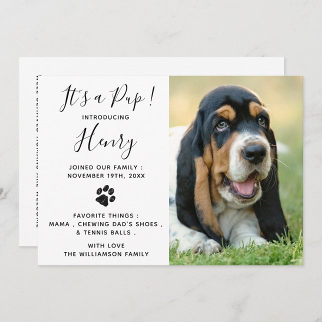 New Pet Dog Puppy Party Invitation (Front/Back)