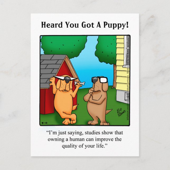 New Pet Humor Postcard (Front)