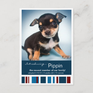 New Pet Male Blue Stripes for Boy Announcement