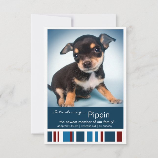 New Pet Male Blue Stripes for Boy Announcement (Front)