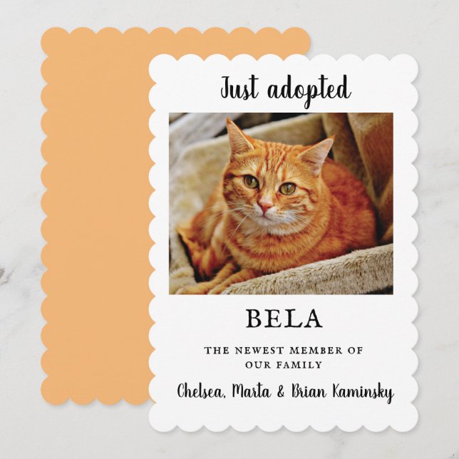 New Pet Photo Adoption Announcement Flat Card (Front/Back)