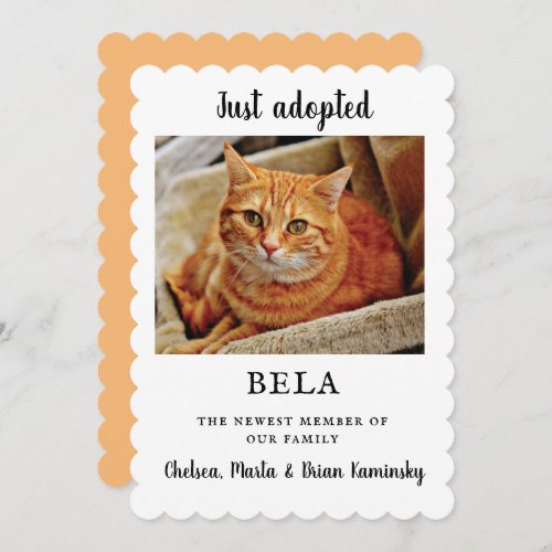 New Pet Photo Adoption Announcement Flat Card