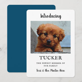 New Pet Photo Announcement Flat Card