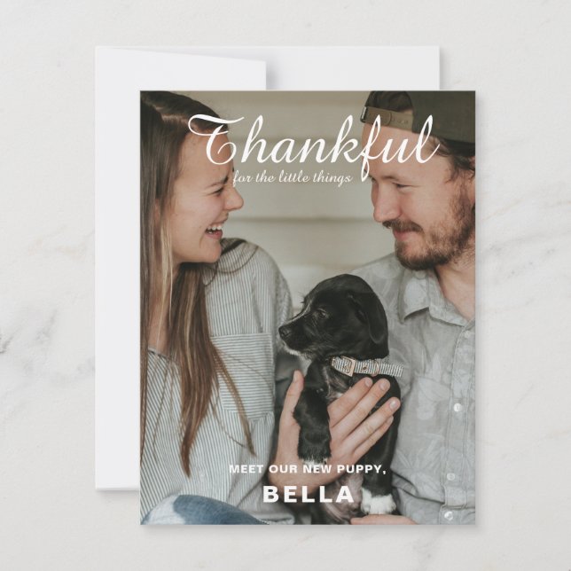New Pet Photo Announcement Thanksgiving (Front)