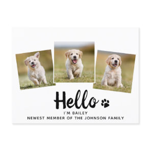 New Pet Photo Hello Puppy Dog Announcement Postcard