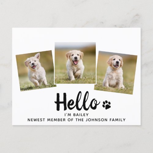 New Pet Photo Hello Puppy Dog Announcement Postcard - Hello...I'm Puppy, Newest member of the family ! Introduce your new little pup with this simple new pet announcement card for new dog's, and puppies.
Add your pup's favorite photo's and personalize with pups name and family name ! Type your personal message to family and friends on the back or delete to handwrite.
Whether a new puppy or an adopted rescue dog, this new pet announcement design is perfect to send to family and friends to welcome a new family pet. COPYRIGHT © 2020 Judy Burrows, Black Dog Art - All Rights Reserved. 
New Pet Photo Hello Puppy Dog Announcement Postcard