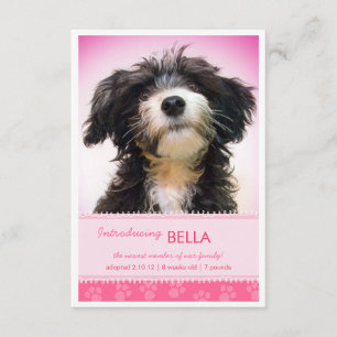 New Pet Pink Paw Prints for Girl Announcement